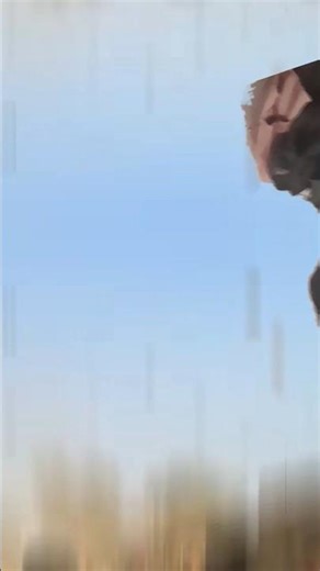 Raghupati Kaise udayega ab Makar Sankranti per