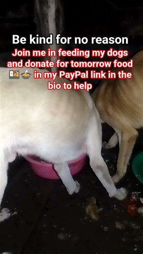 It's almost a week calling a kind soul to create us a GoFundMe account to help us get needs