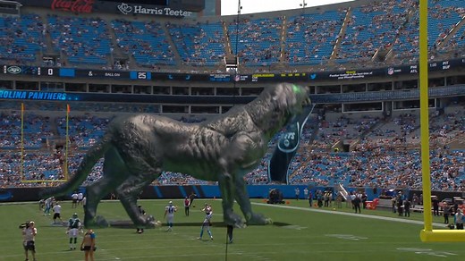 159K views · 5.6K reactions | Check out our new mixed-reality panther that debuted today | Carolina Panthers | Facebook