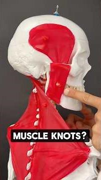 Muscle Knots? Try This!