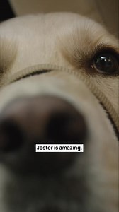 “Thank you, and God bless y’all. Without y’all, I’d still be stuck in this house… And I don’t want to live like that.” - James, U.S. Army Veteran 🎖️ When you donate to Patriot PAWS, you’re not only supporting Veterans—you’re directly helping us change an American Hero’s life, four paws at a time. Kick off this year’s Season of Giving by helping us provide high-quality Service Dogs, at NO COST, to Veterans with mobility challenges and invisible disabilities like Post-Traumatic Stress. | Patriot 