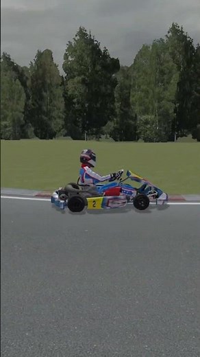 Kart Racing Pro Replay #MS KArts KZ1 @Kerpen