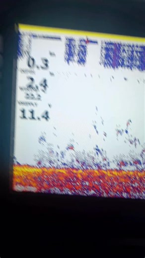 #fishingwrangler #stacerproline #mercury #supa #15hp #fishing #foryou #boating #boatlife