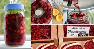 3 Delectable Fermented Cranberry Recipes. [Enjoy Year Round]