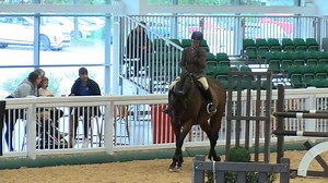 Give it up for our Working Hunter Champions 😍🙌 ... Rachel Turner and Ernie Big! 🏆 Together they produced this lovely performance in the 1.15m Working Hunter class, to be crowned overall champions at the Aintree International Equestrian Centre - top job! 🥳 📺 From the Tiny Tots to the 1.15m Working Hunter Horses, relive every stride 👉 watch.clipmyhorse.tv/Aintree-Working-Hunter-Show-2023 | ClipMyHorse.TV Great Britain