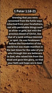 Journey of faith and spiritual growth | 1 Peter 1:18-21 Daily Bible Verse
