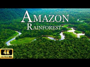 Amazon jungle 4k- The World’s Largest Tropical Rainforest | Natural relaxation film