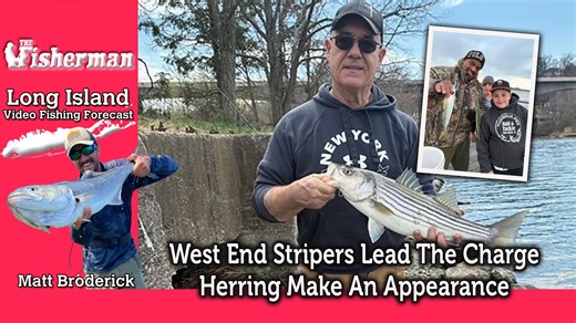 Long Island Video Fishing Forecast - April 9, 2026 - The Fisherman