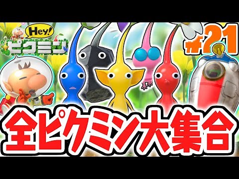 広場に全ピクミンが大集合!!これで宝物も掘り放題!?3DS実況Part21【Hey! ピクミン】