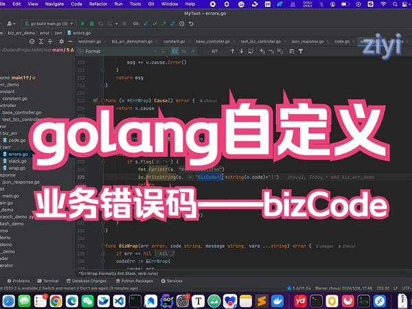 自定义业务错误码