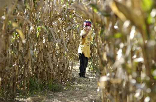Here are 7 must-visit corn mazes in Vermont to wander through this fall