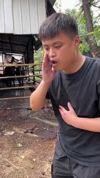 Funny Cow Sound 🐄😂 #Short