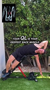 Your Deepest Lower Back Muscle: I’m lucky to have not had a lower back tweak in many years, BUT I also train EVERY muscle around my spine. My exact program is at atgonlinecoaching.com