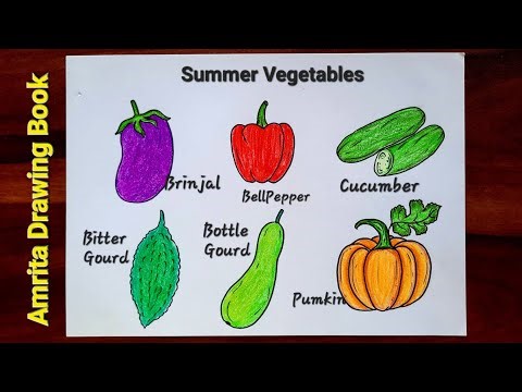 Vegetables Drawing | Summer Season Vegetables Drawing | Seasonal Vegetables Drawing Chart Easy