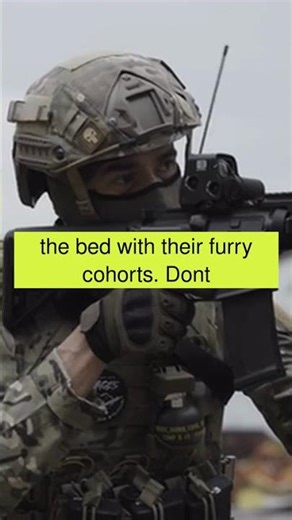 Kitty Tactical Maneuvers #shorts