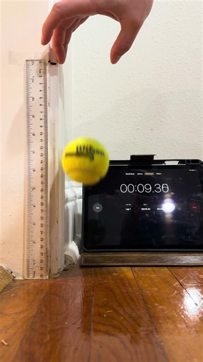 PHYS 1401 - Lab 2 Free Fall