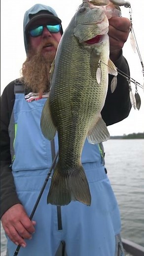 Experience fishing that defines The Northwoods!