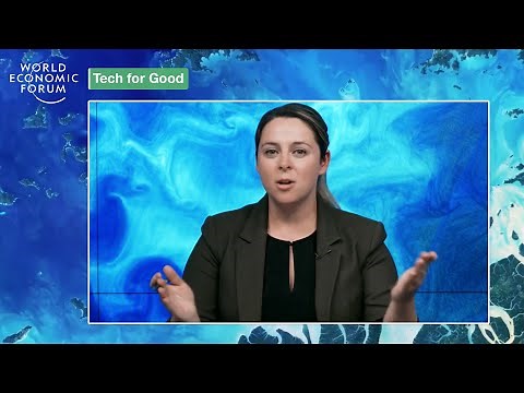 What Are the Big Ideas to Restore India’s Ecosystems? | Sustainable Development Summit 2021