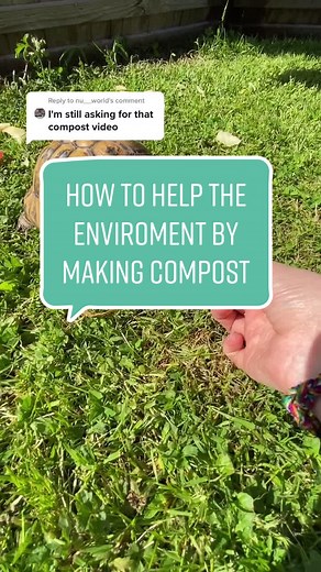 How to Make Your Own Compost to Help the Environment