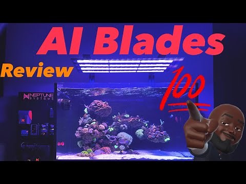 AI Blades - EVERYTHING You need to Know