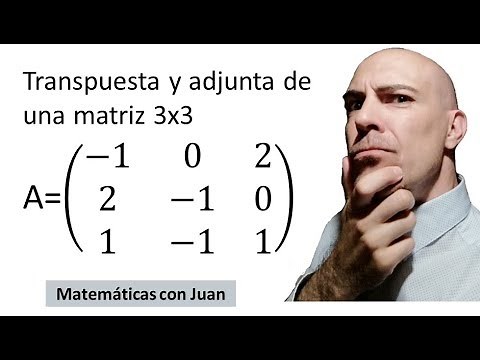 ▷ Cómo calcular una transpuesta y la adjunta de una matriz. Ejercicio resuelto. Curso 2018-2019