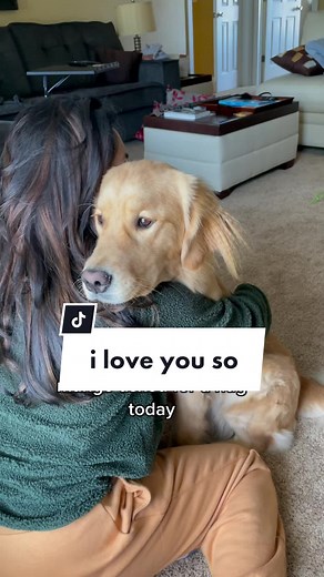 she’ll always be our first born #goldenretriever #dogsoftiktok #doggo #puppydogeyes #foryou #fyp