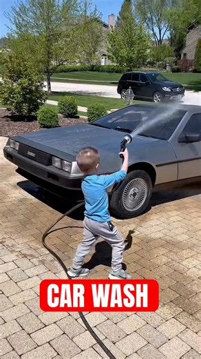 Mini Detailer Takes on a DeLorean 🔥 (Adorable) #backtothefuture #shorts #80s