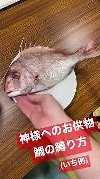 お供物の鯛の縛り方(神社や神棚)