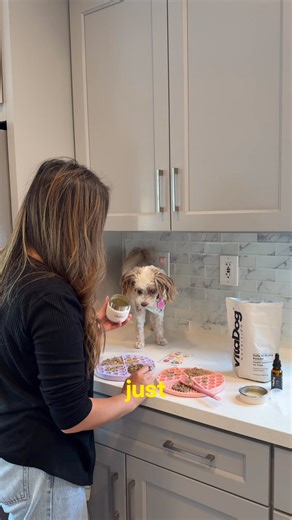 Dog Health, Made Easy. With VitaDog Nutrition's All-in-One Daily Shake Supplement containing 40 active ingredients, you can wave goodbye to your cupboard full of supplements! | VitaDog Nutrition