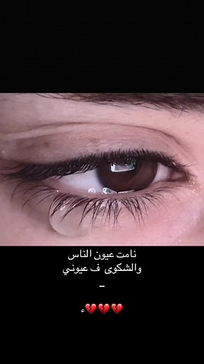 نامت عيون الناس: مشاعر وإحساس