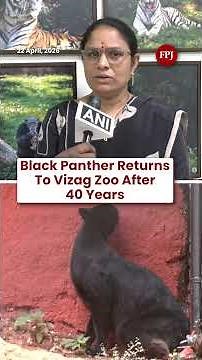 Black Panther Returns To Vizag Zoo After 40 Years | Rare Big Cat Arrives At Andhra Pradesh Zoo