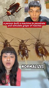 a person built a machine to penetrate and simulate grape of roaches#cockroach #twitter #alltomorrows #drama #chinesegirlinamericanboysbody | True Crime Stories