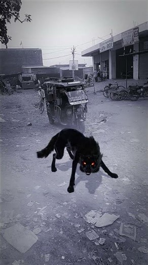 wolf holloing sound 😂🤣 #wolf #horrorstories