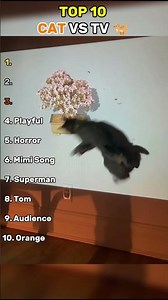 Top 10 Cat vs TV Moments 😂📺🐱