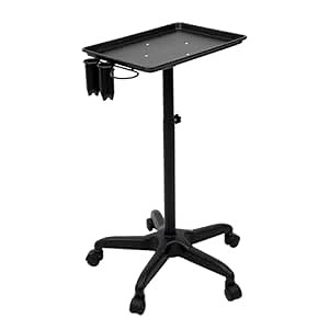 Rolling Aluminum Salon Instrument Tray Station Mobile Spa Hair Instrument Tray with Accessory Caddy