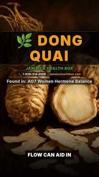 Dong Quai: Natural Health Benefits You Need to Know | Jamaica Health Box