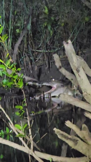 298 reactions · 9 comments | Let's talk about Gaping , mouth open for...