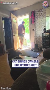 2.4M views · 10K reactions | Cat's like "Be my guest. The dog is a weirdo, don't pay attention" 藍 | 7-Second Riddles | Facebook