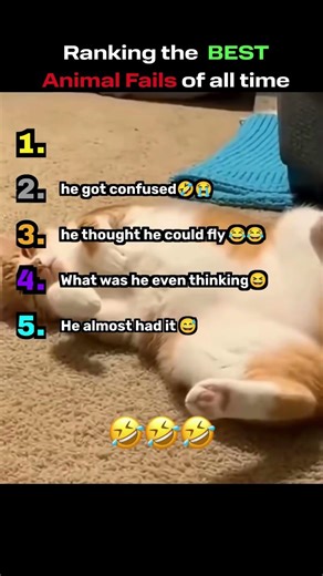 Ranking the BEST animal fails of all time