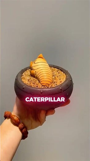 This Bamboo Can Be Shaped Like A CATERPILLAR 🤯