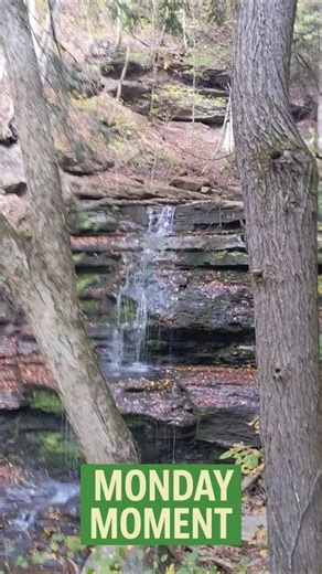 Scenic Waterfall View at Leonard Harrison