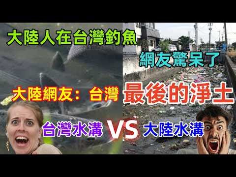大陸網友：台灣是“最後一片淨土”，台灣水溝的影片在大陸火了，水清魚多，大陸水溝污染嚴重，對比差距太大......