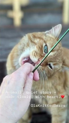 Knitting a Teddy Bear Toy Slowly | Handmade Knitted Bear | Quiet Crafting