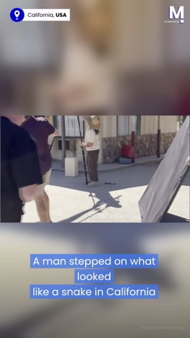 Fake snake prank sends man running in panic in California