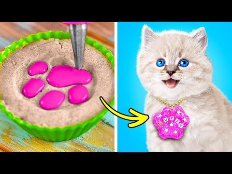 10+ Amazing DIY Pet Crafts You Need To Try! 🐾✨ Fun & Easy Animal Hacks