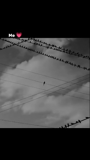 Aneeesh💫 on Instagram: "❣️🥀✨. -link in bio. - - #instareels #instamood #ａｅｓｔｈｅｔｉｃ #explore"