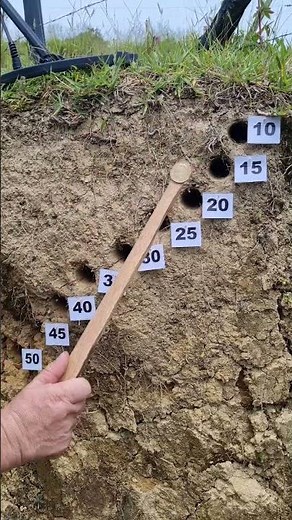 Nokta Makro Simplex Plus Metal Detector Depth Test. @Egecol
