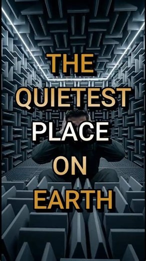 Nobody Lasts 1 Hour In This Room 🔇 #shorts #facts