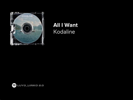 All I Want by Kodaline - Lyrics Video