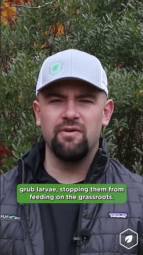 Grub Control | Pure Solutions